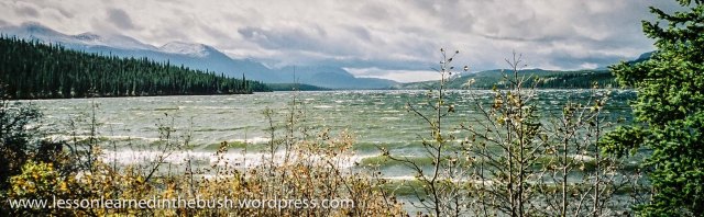 At the northern end of Trout Lake on a windy day.